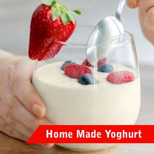 EasiYo Yoghurt Cookbook